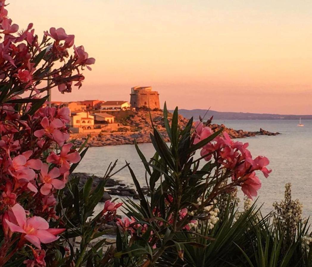 Domus Oriens B&B monolocale privato in villa bifamiliare Portoscuso Esterno foto
