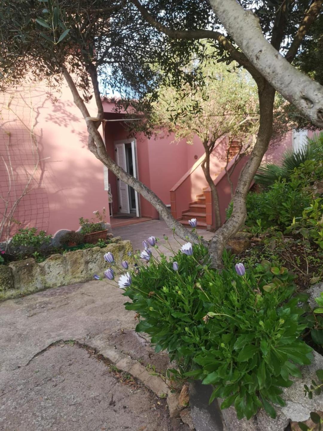 Domus Oriens B&B monolocale privato in villa bifamiliare Portoscuso Esterno foto