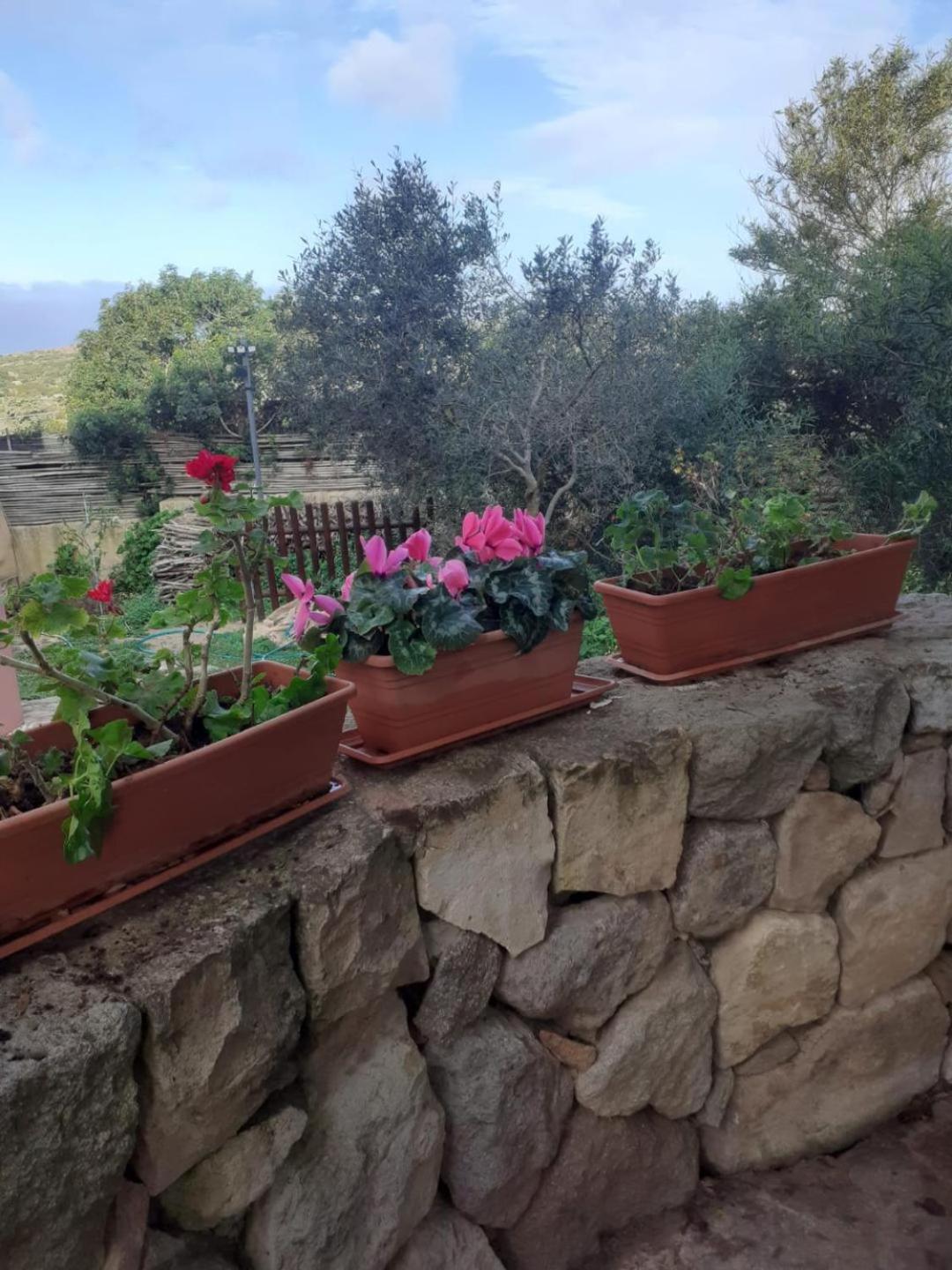 Domus Oriens B&B monolocale privato in villa bifamiliare Portoscuso Esterno foto