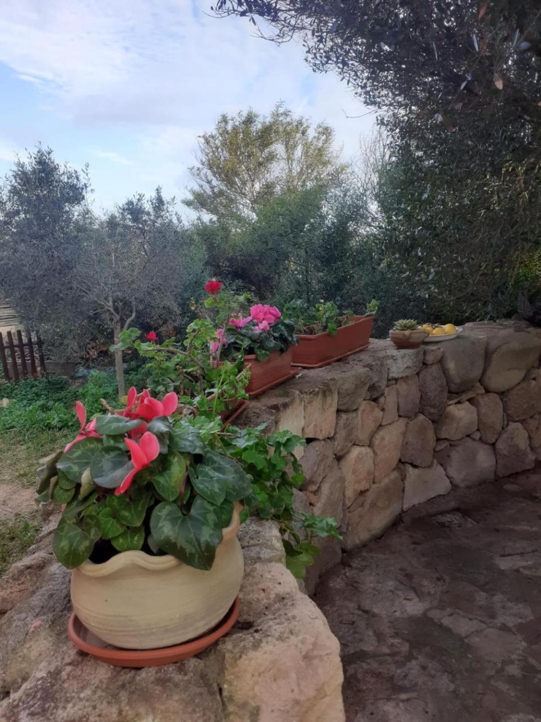 Domus Oriens B&B monolocale privato in villa bifamiliare Portoscuso Esterno foto